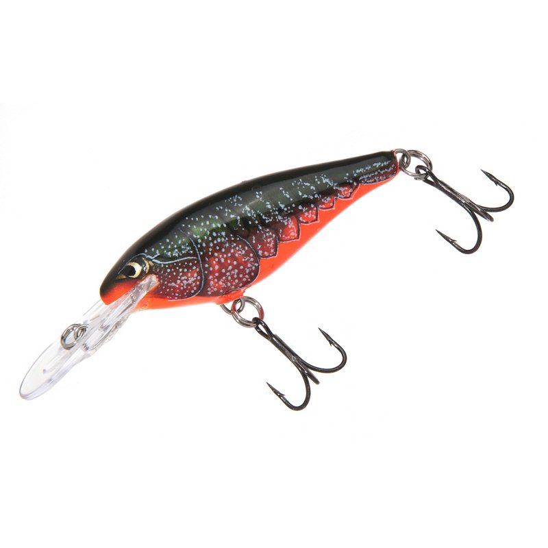 RapalaÂ® Shad Rap 2… - image