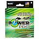PowerPro Green 50 lb. - 500 yards Braided Fishing Line                                                                           - view number 1 selected
