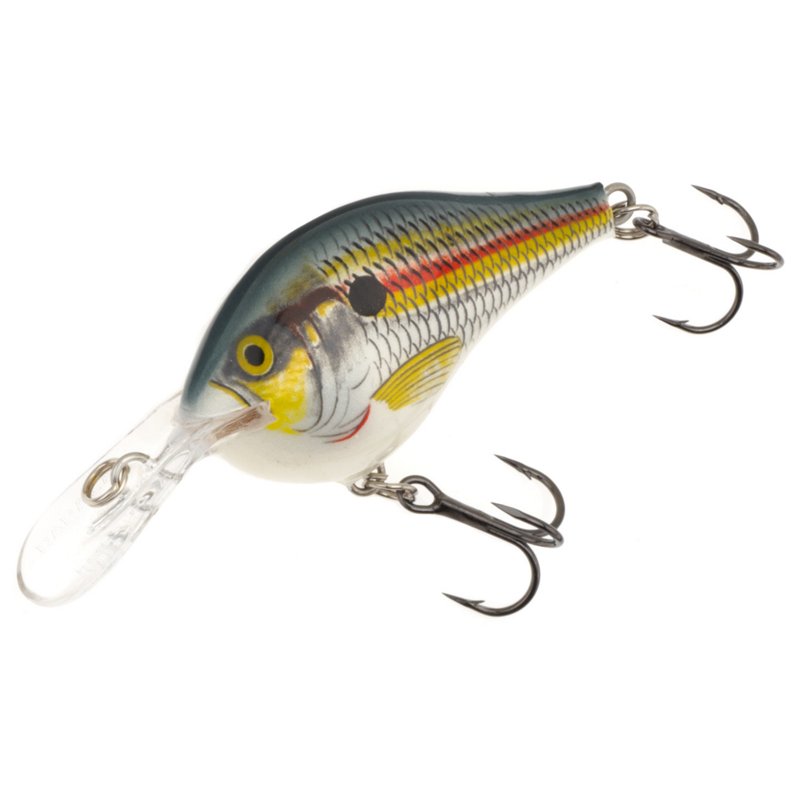 Rapala DT Series DT16 Crankbait Shad - Frsh Water Hard Baits at Academy Sports