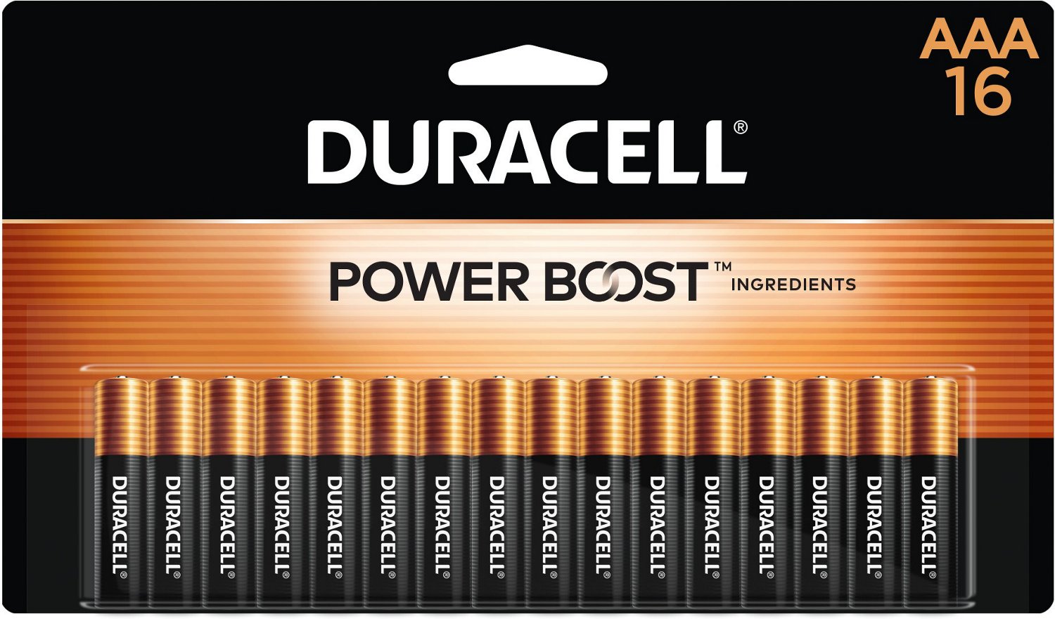 Duracell Coppertop AAA Batteries 16-Pack                                                                                         - view number 1 selected