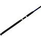 Shakespeare® Tidewater Surf Rod                                                                                                 - view number 1 selected