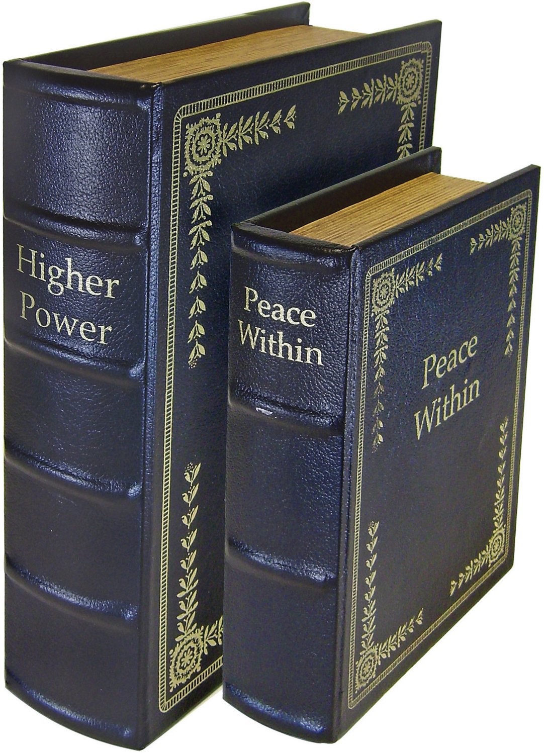 PSP Diversion Books 2Piece Set Free Shipping at Academy