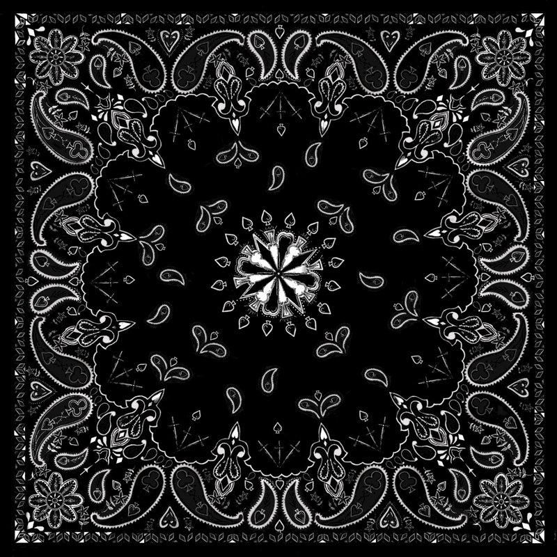 Zanheadgear Black P… - image