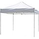 Z-Shade Venture 10' x 10' Commercial Canopy                                                                                      - view number 1 selected