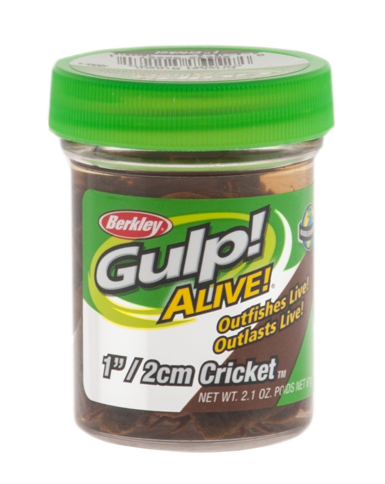 Berkley® Gulp! Alive! 1" Cricket - view number 2