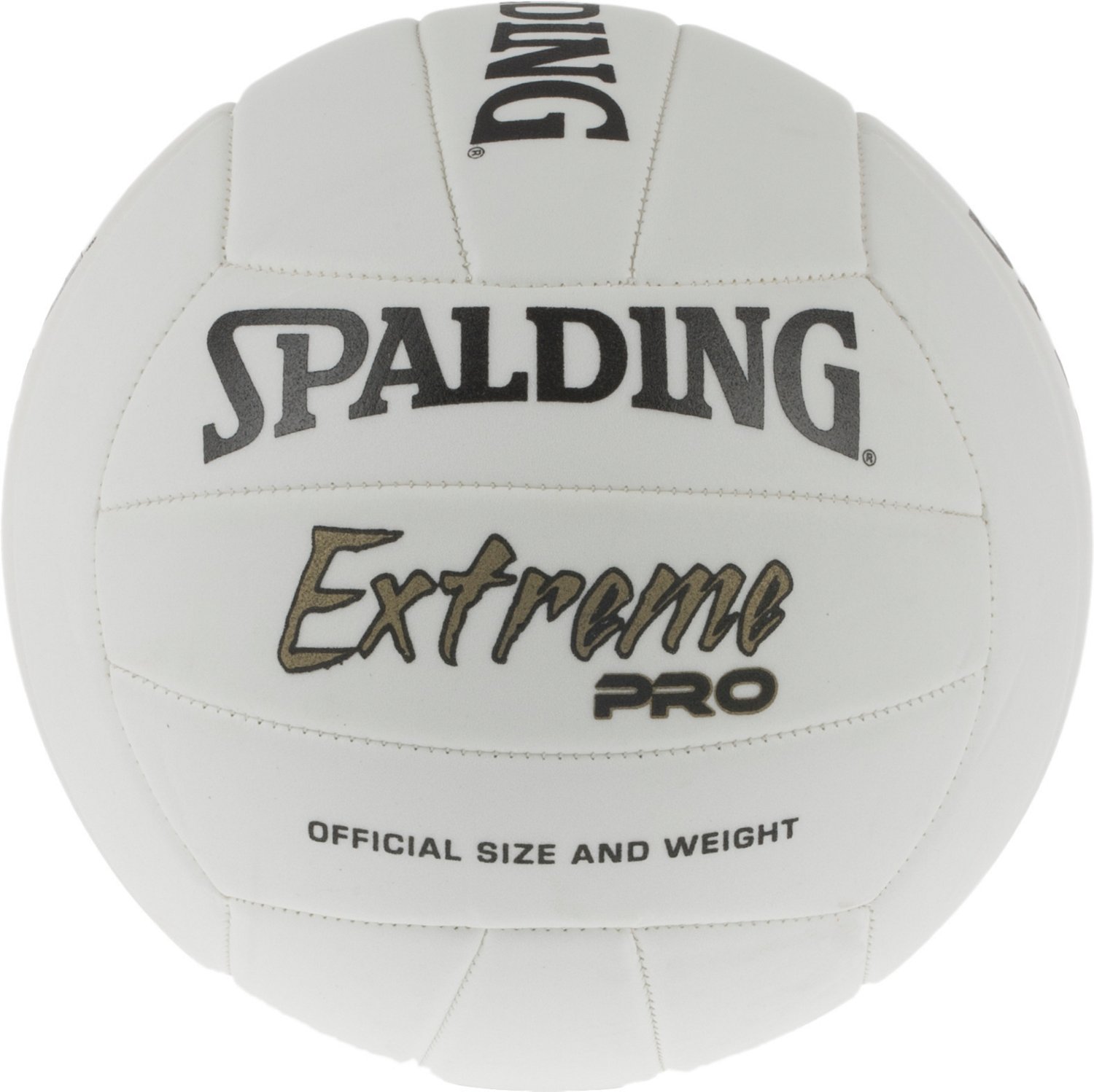 Spalding Extreme Pro Outdoor Volleyball Academy