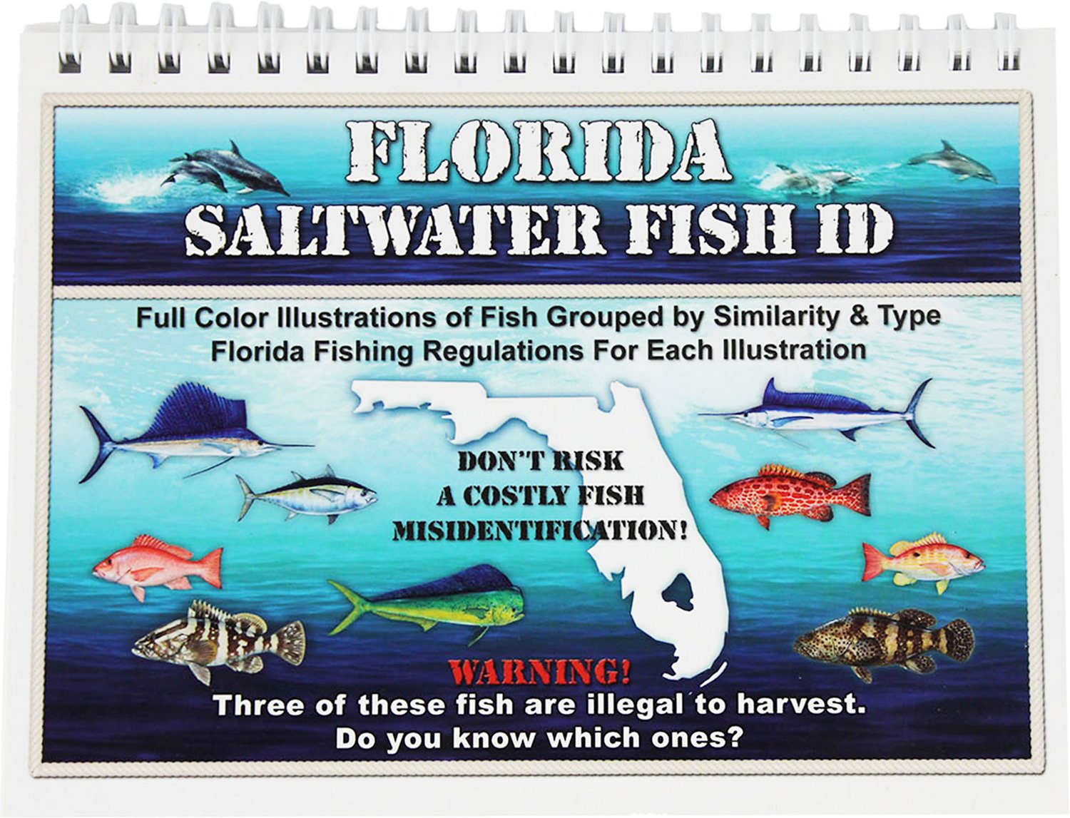 Florida Saltwater Fish ID Book Academy