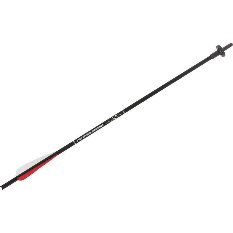 Carbon ExpressÂ® Cr… - image