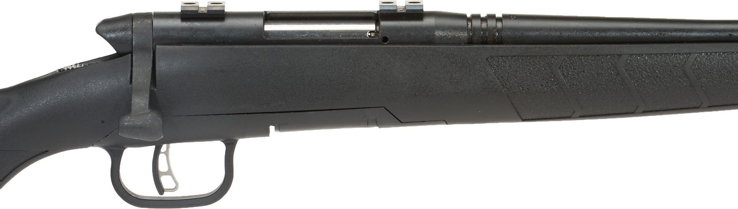 Savage Arms B.MAG .17 Win. Super Magnum Bolt-Action Rifle - view number 4