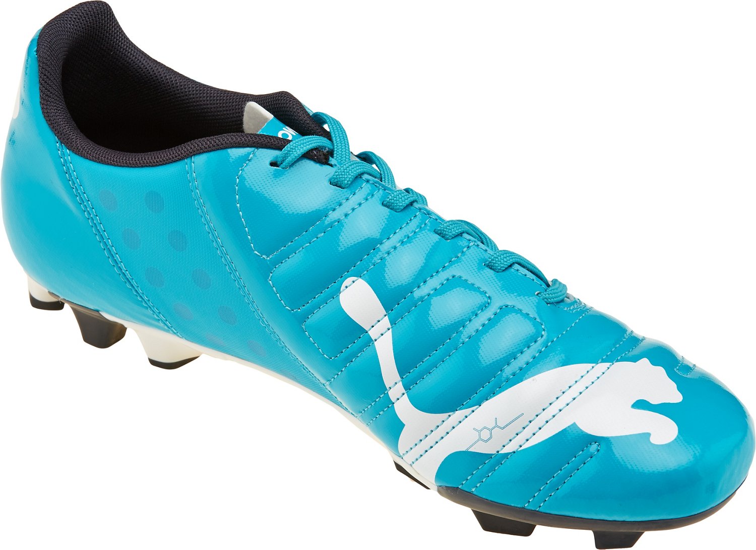 PUMA Men's evoPOWER 4 FG Soccer Cleats - view number 2
