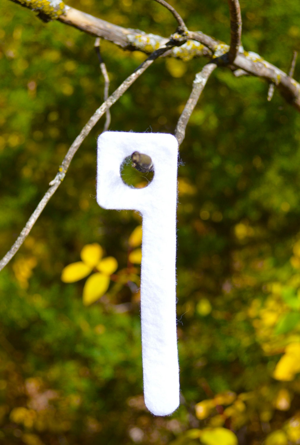 Wildlife Research Center® Magnum™ Key-Wicks® Scent Wicks 2-Pack                                                              - view number 2