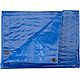 Academy Sports + Outdoors 8 ft x 10 ft Polyethylene Tarp                                                                         - view number 1 selected