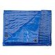 Academy Sports + Outdoors 10 ft x 12 ft Polyethylene Tarp                                                                        - view number 1 selected