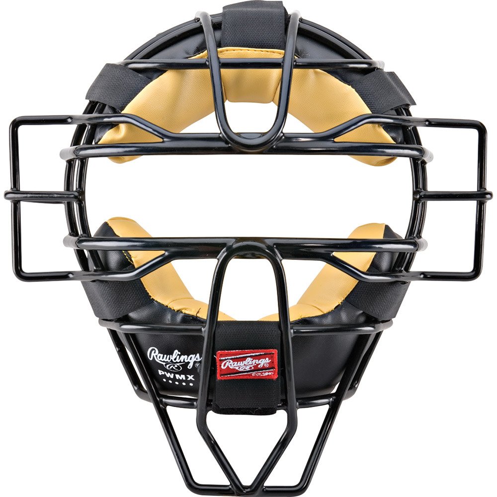 Catchers Mask by CSA Images