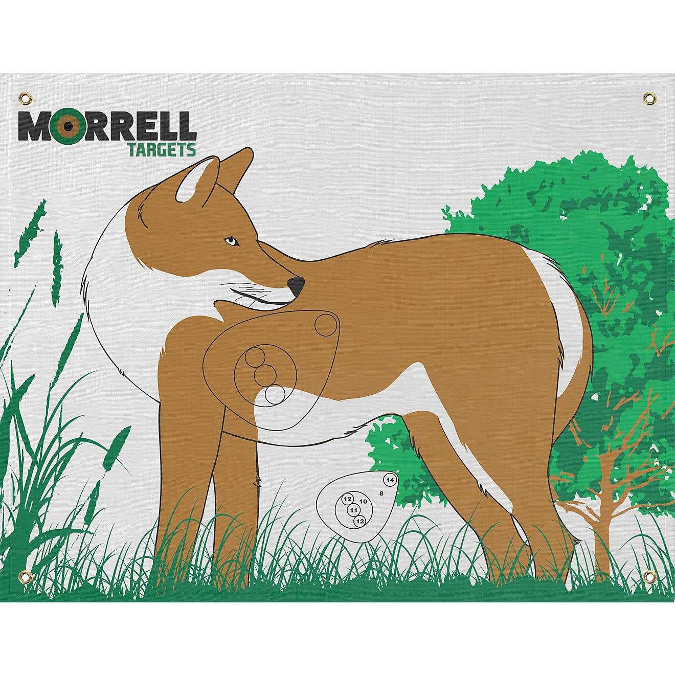 Morrell Coyote Target Face                                                                                                       - view number 1