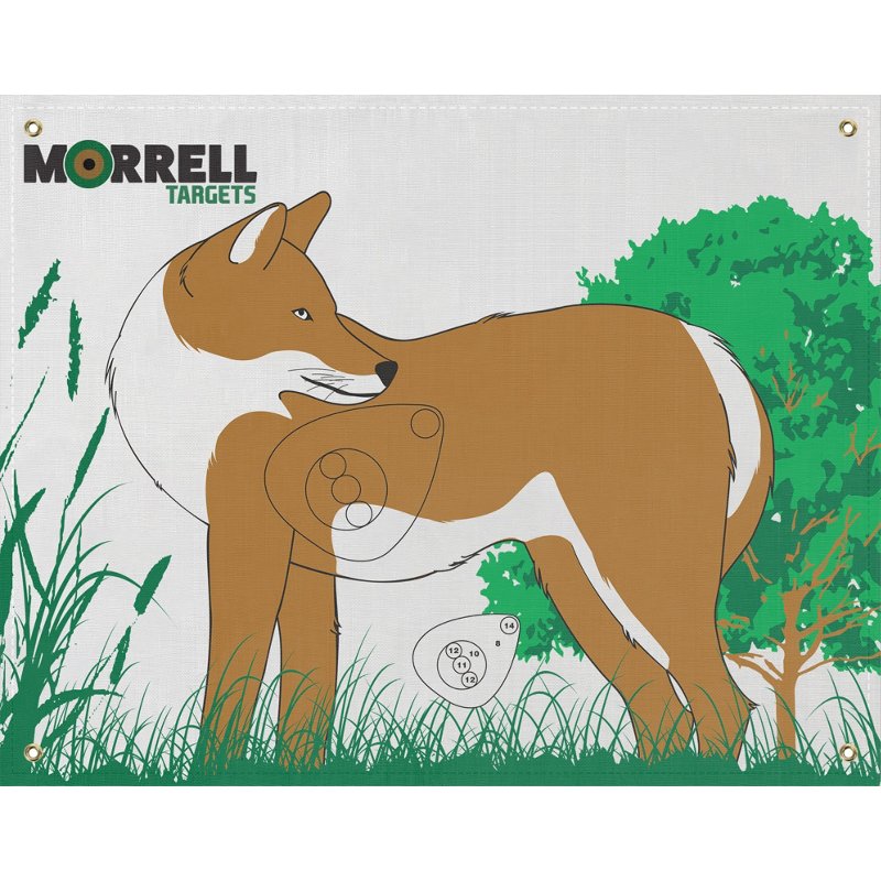 Morrell Coyote Targ… - image