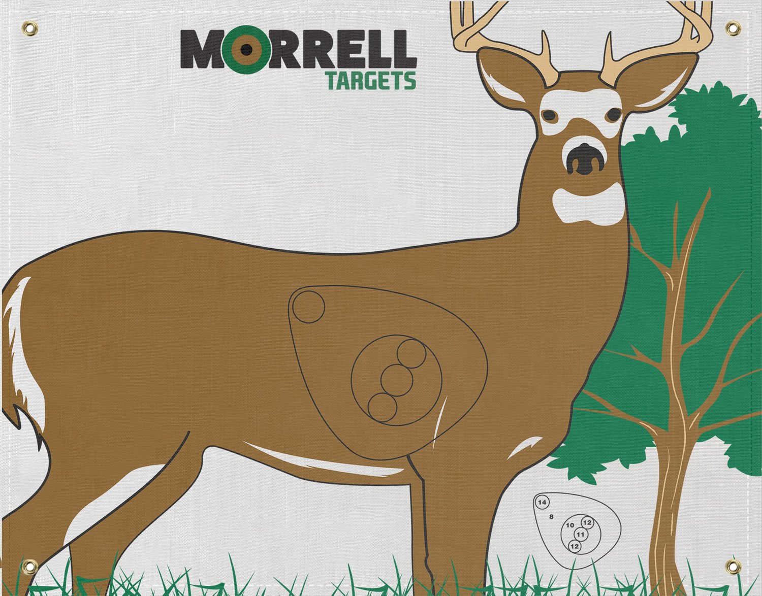 Morrell Whitetail Target Face | Academy