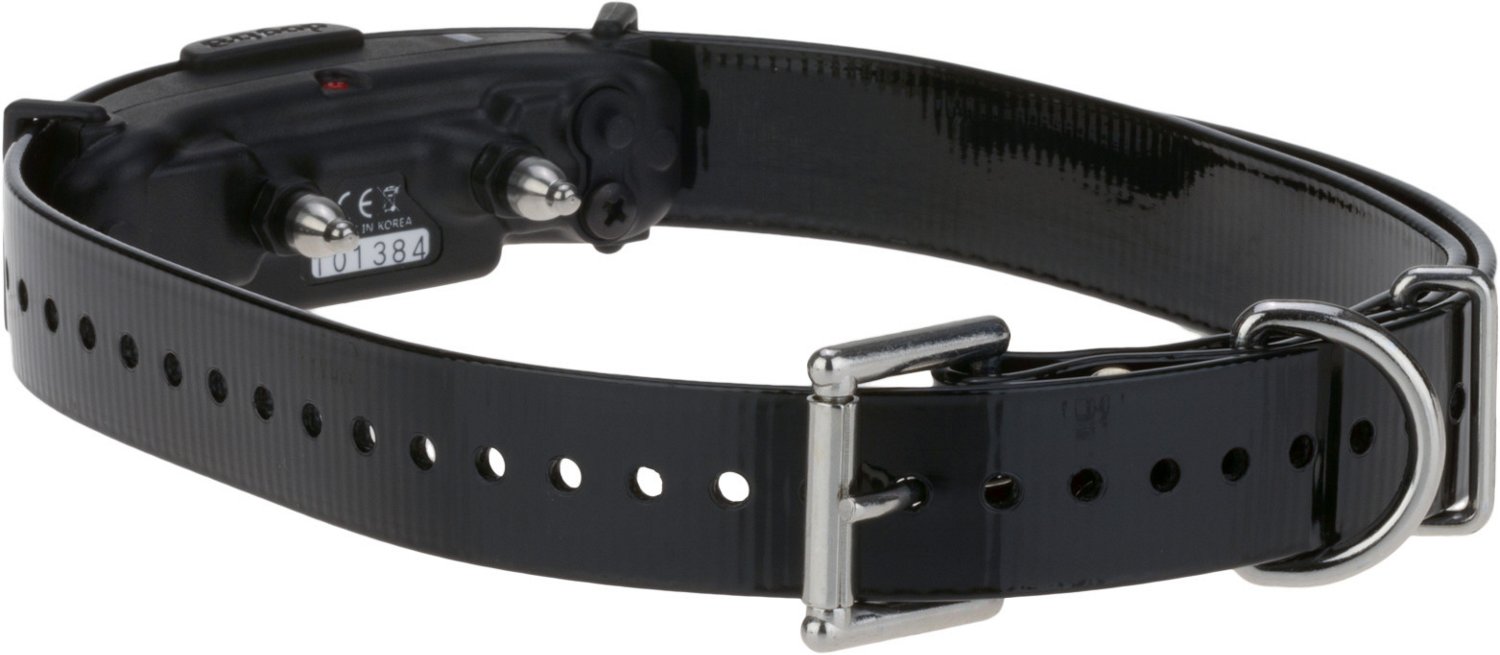 Academy shock collar store