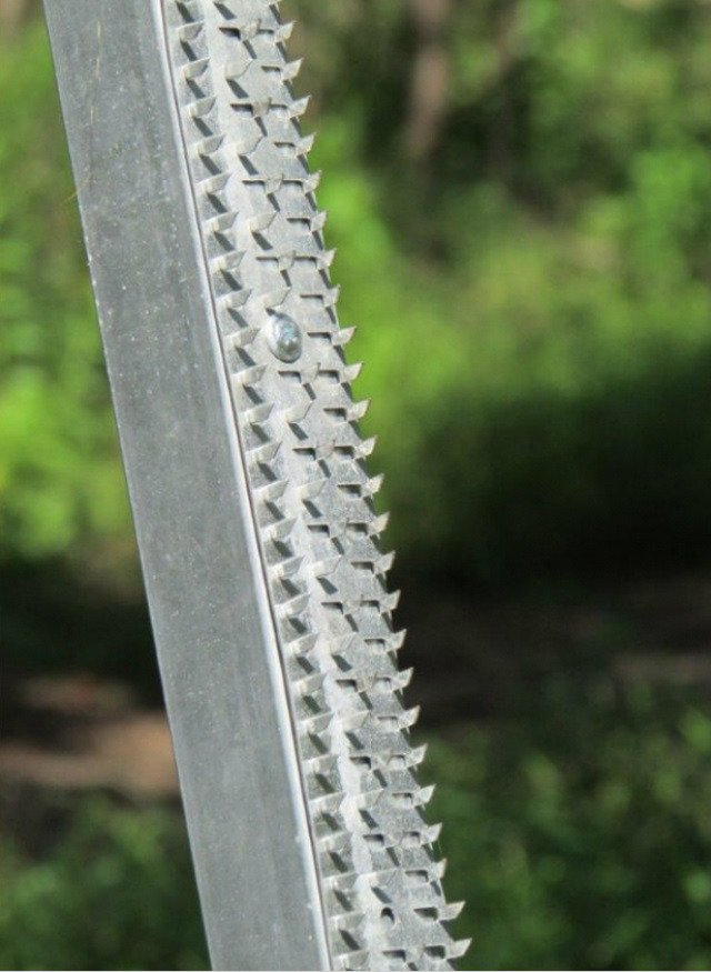 Boss Buck Shark Teeth™ Deterrent Strips 3-Pack                                                                                 - view number 2