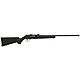 Savage A17 .17 HMR Semiautomatic Rifle                                                                                           - view number 1 selected