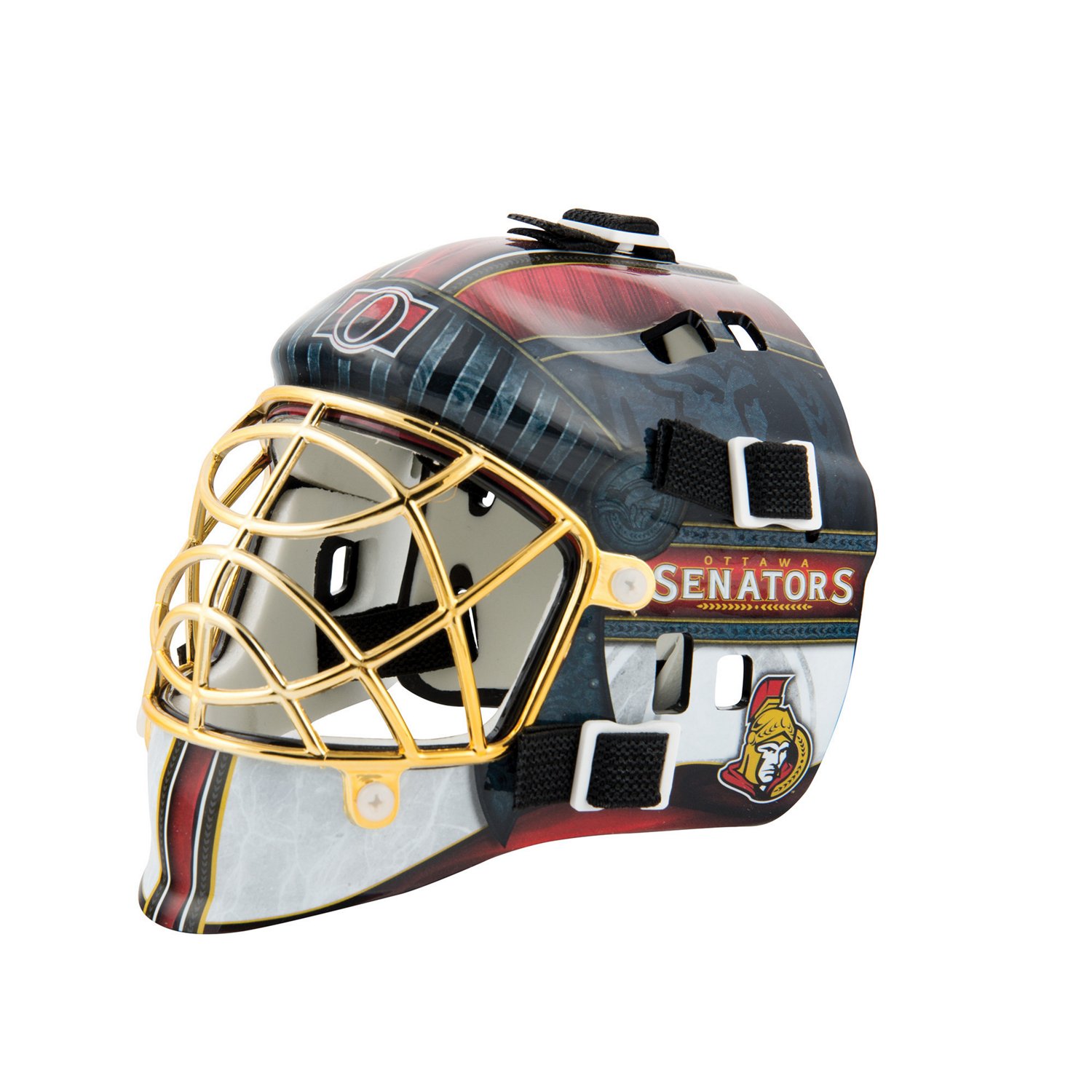 Team NHL Goalie Mask