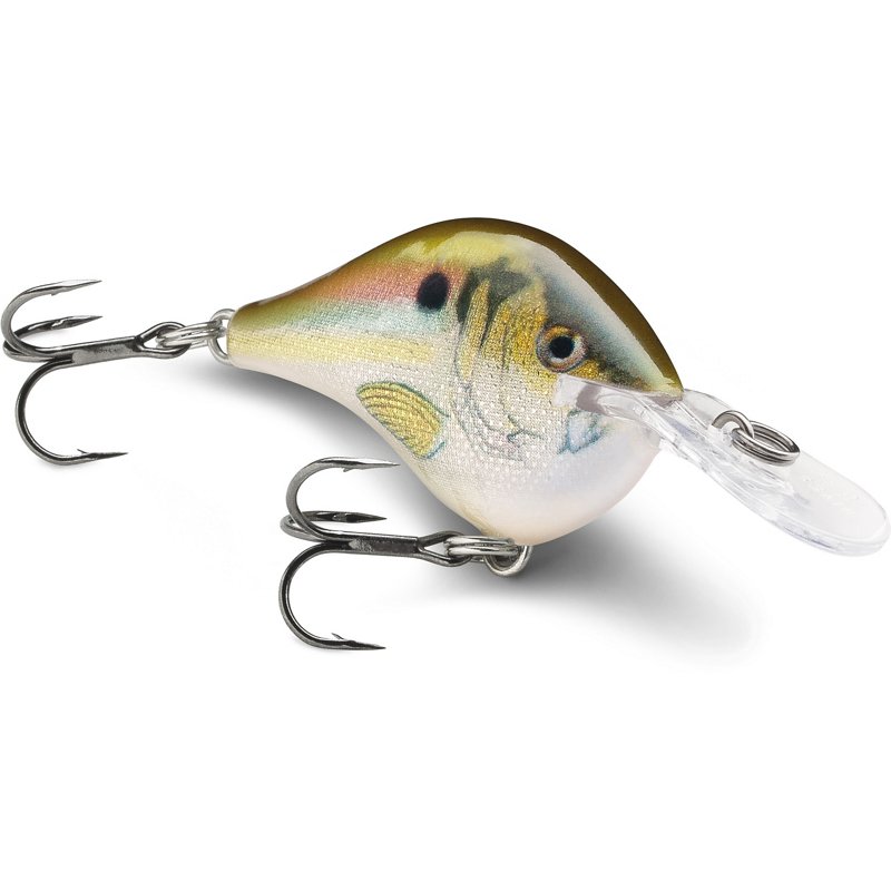 Rapala DT10 Lure Shad - Frsh Water Hard Baits at Academy Sports