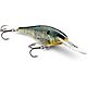 Rapala® Shad Rap 2" Freshwater Lure                                                                                             - view number 1 selected