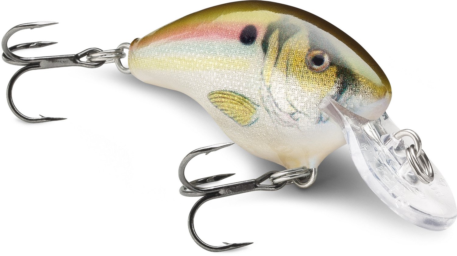 Rapala® DT® Series DT04 Crankbait | Academy