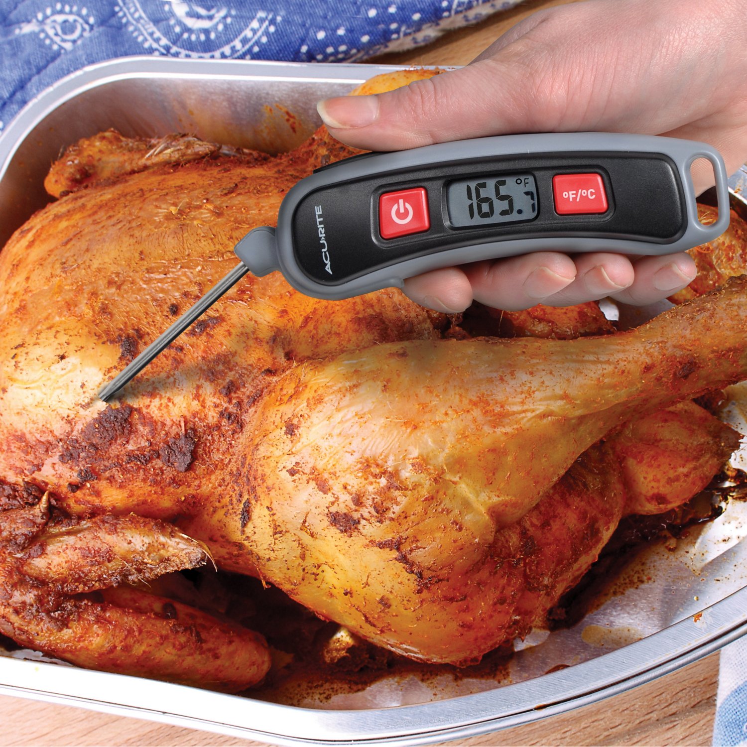 Instant Read Folding Thermometer