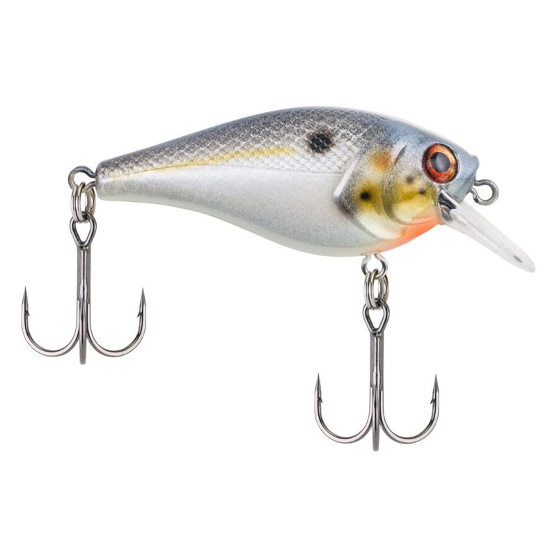Berkley Pitbull 5.5 3/8 oz. Crankbait Sexy Shad - Frsh Water Hard Baits at Academy Sports