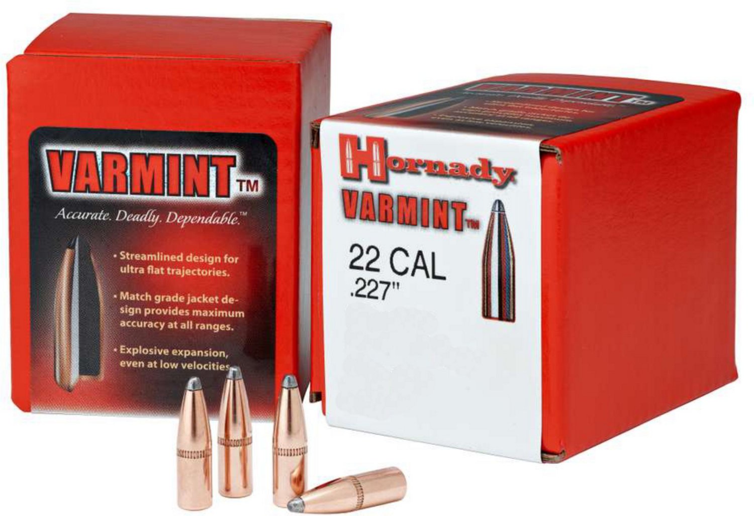 22 Caliber Bullets