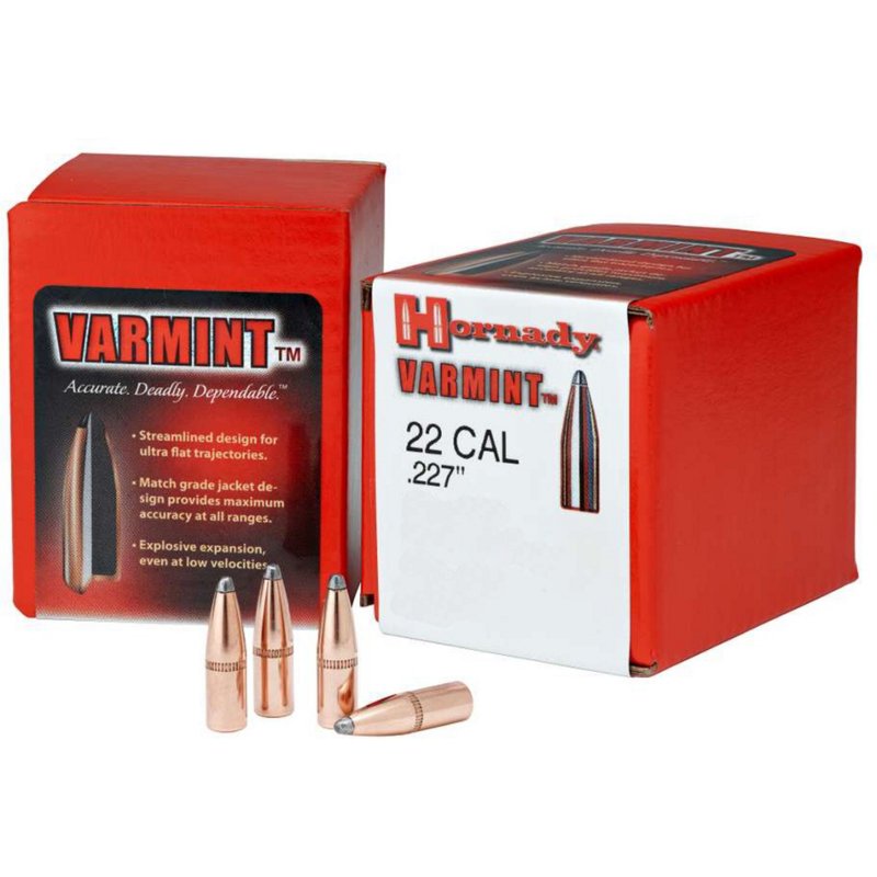 Hornady Varmint .22… - image