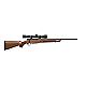 Mossberg® Patriot Bantum .243 Win. Bolt-Action Rifle                                                                            - view number 1 image