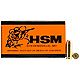 HSM 10mm 200-Grain Centerfire Handgun Ammunition                                                                                 - view number 1 selected