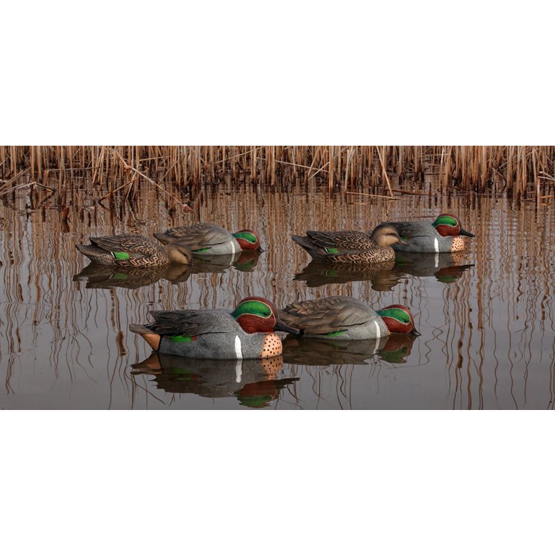 Avian-X Topflight G… - image