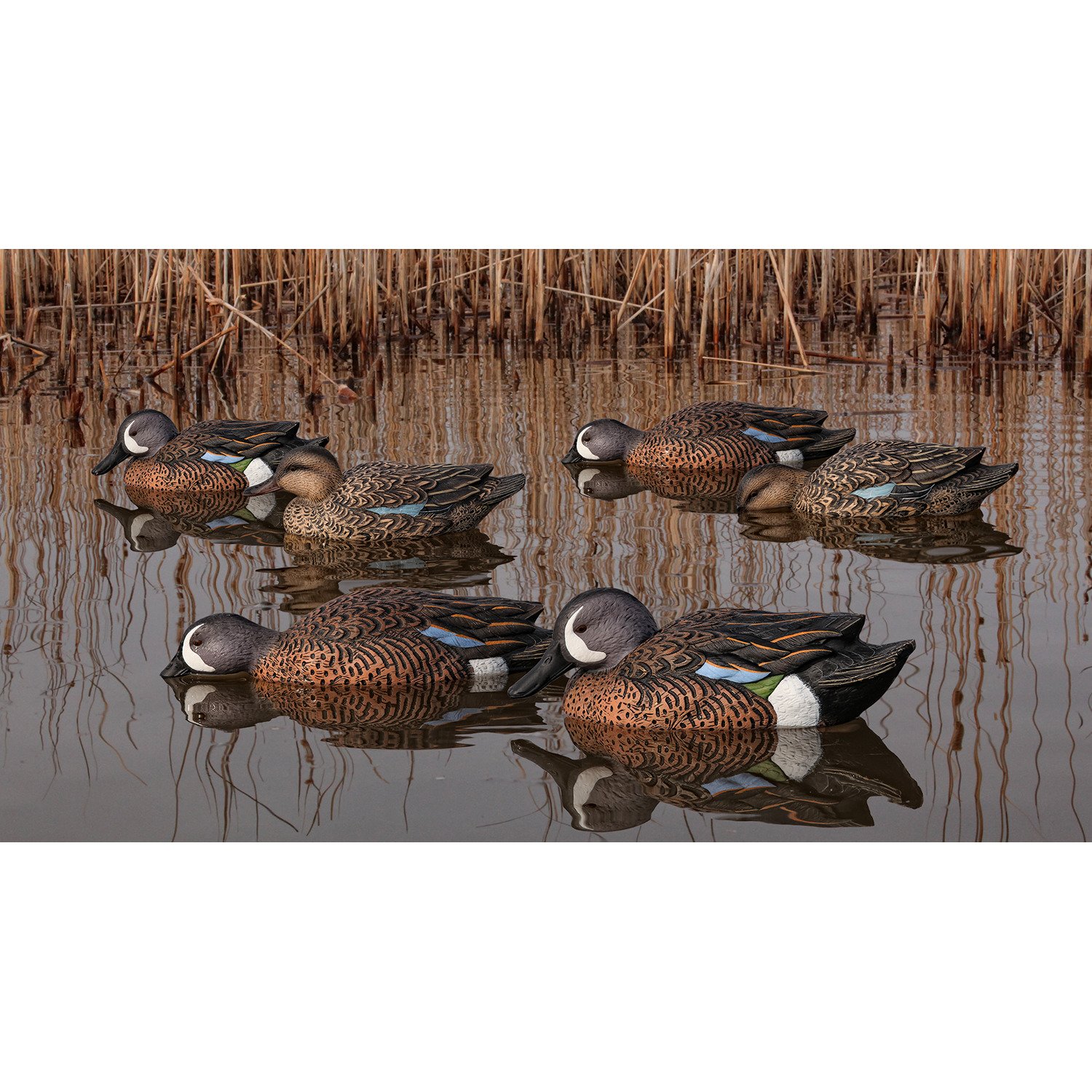 Avian-X Topflight Blue-Winged Teal Decoys Set                                                                                    - view number 1 selected