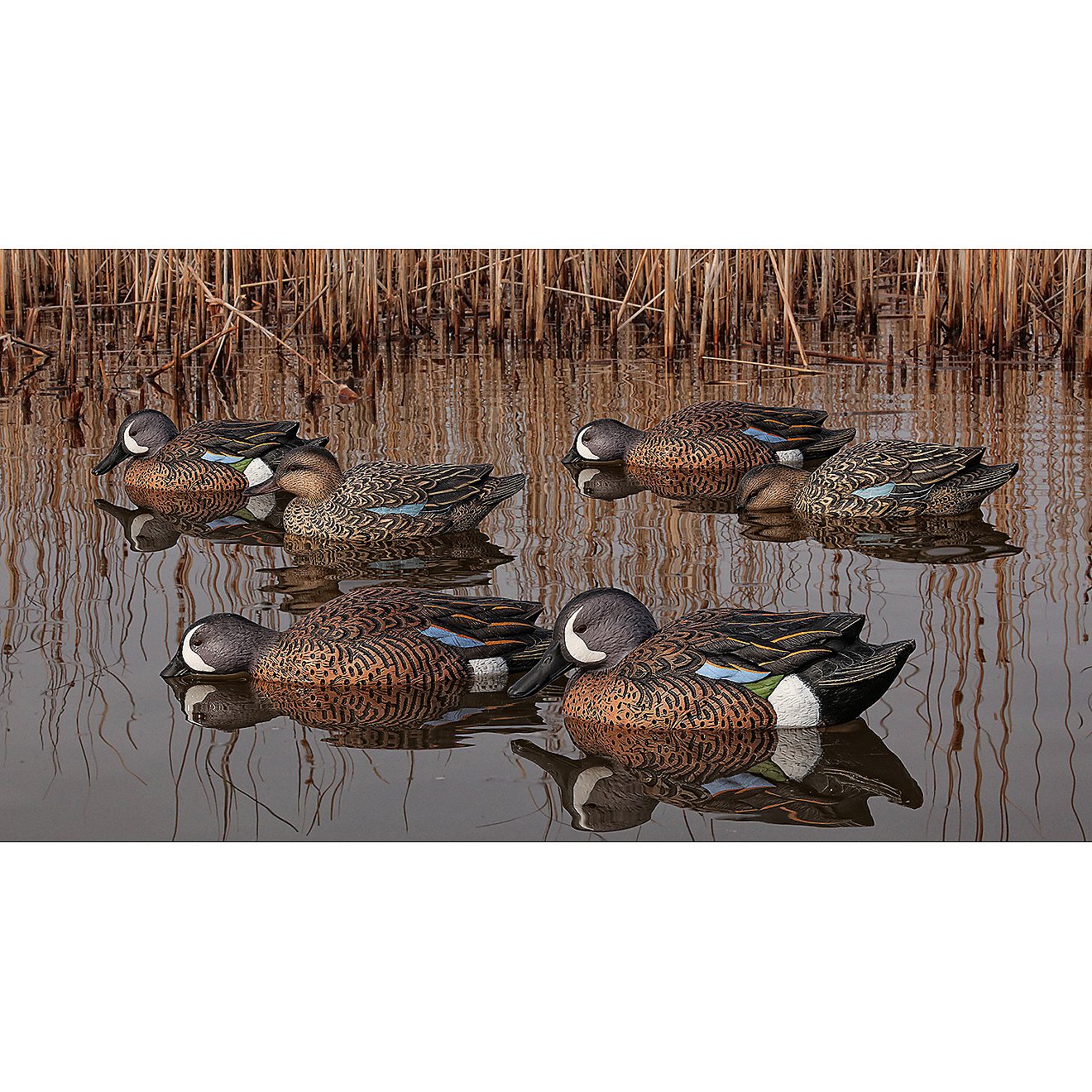 Avian-X Topflight Blue-Winged Teal Decoys Set                                                                                    - view number 1