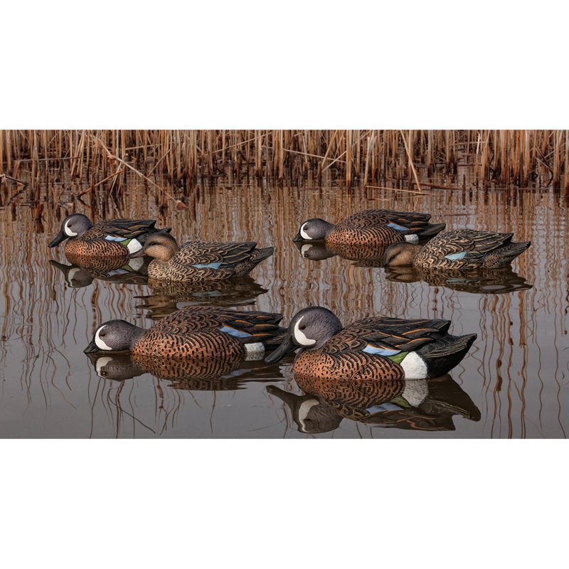 Avian-X Topflight B… - image