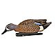 Avian-X Topflight Blue-Winged Teal Decoys Set                                                                                    - view number 2