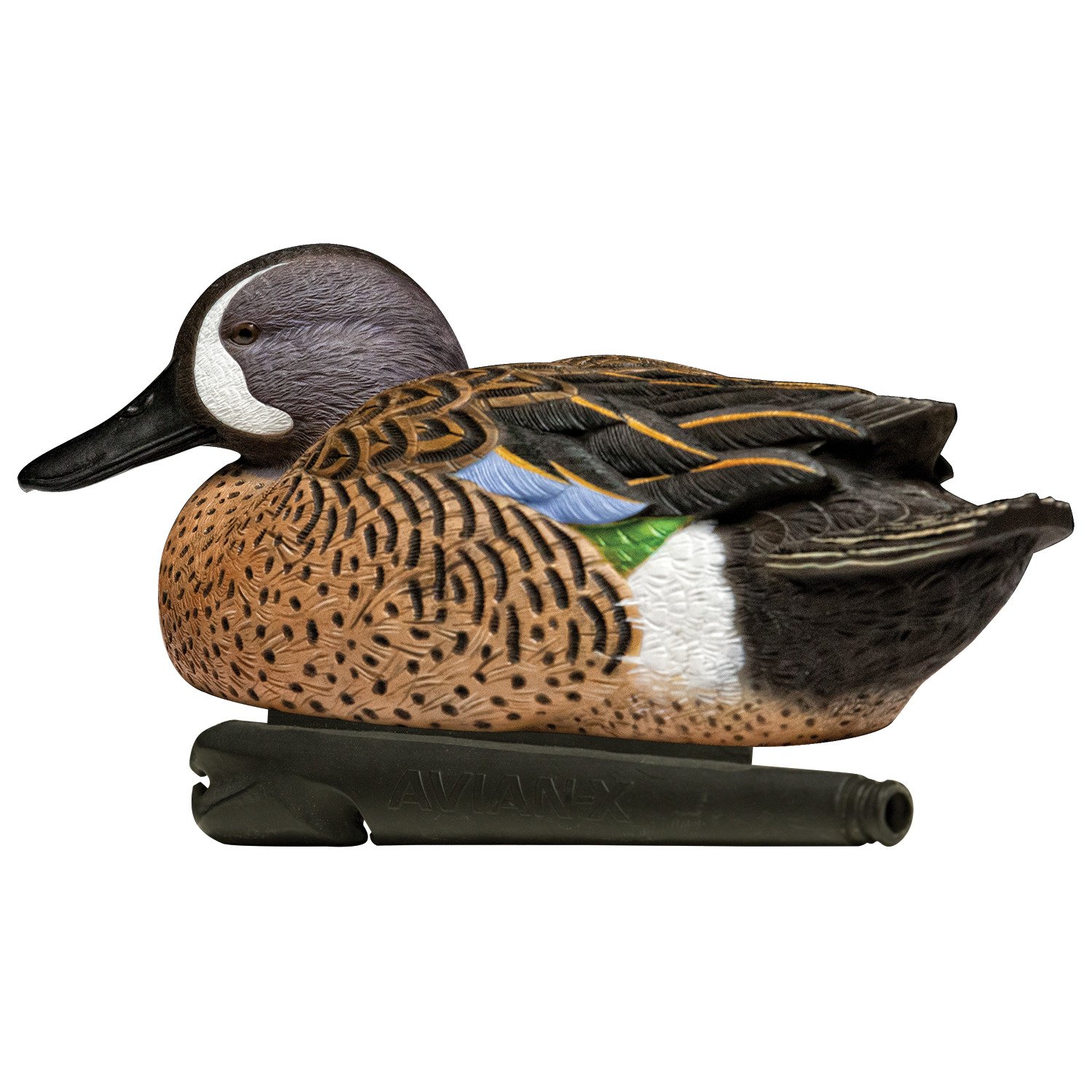 Avian-X Topflight Blue-Winged Teal Decoys Set | Academy