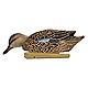 Avian-X Topflight Blue-Winged Teal Decoys Set                                                                                    - view number 4