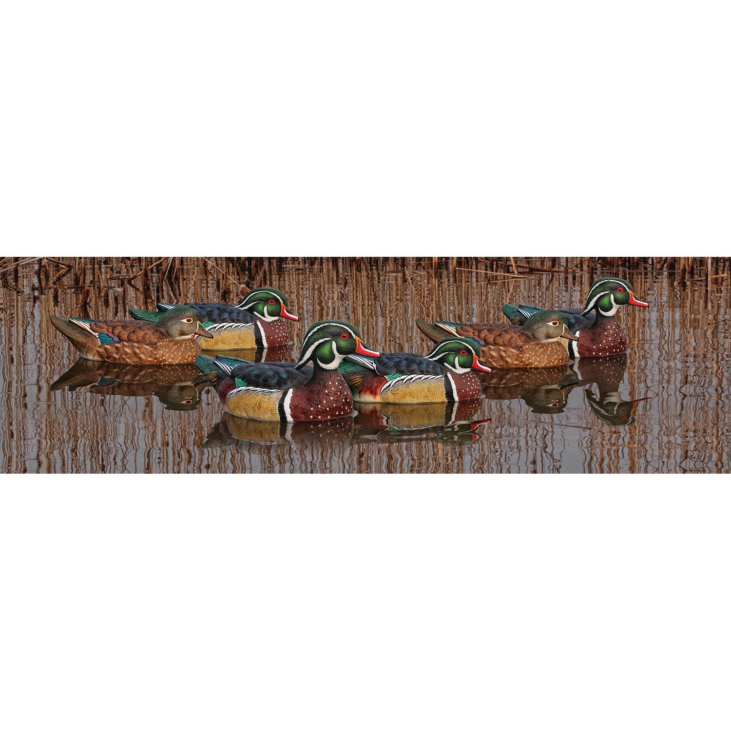 Avian-X Topflight Wood Duck Decoys 6-Pack                                                                                        - view number 1 selected