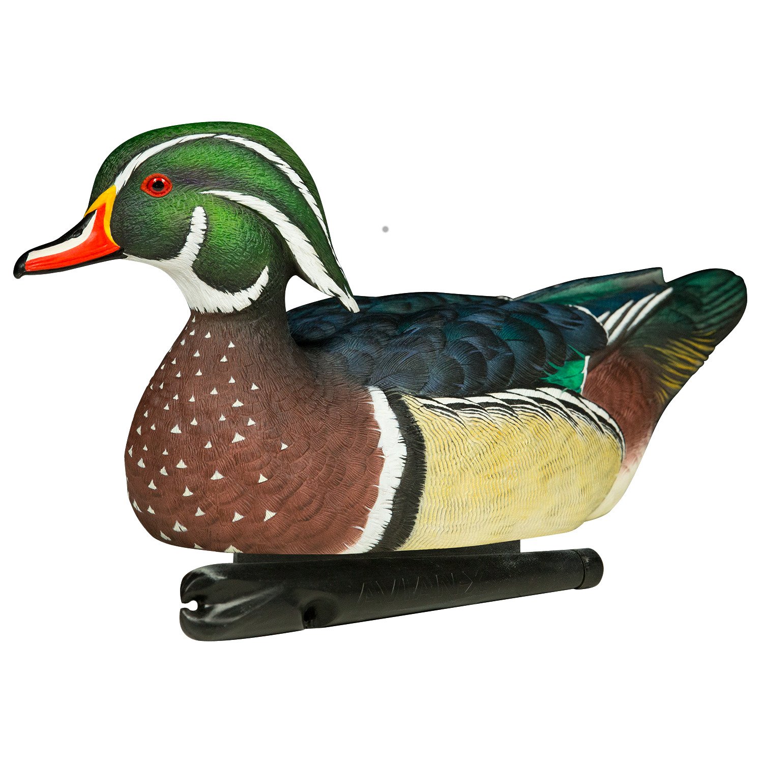 Avian-X Topflight Wood Duck Decoys 6-Pack                                                                                        - view number 3