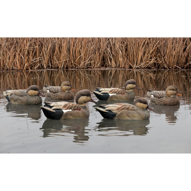 Avian-X Topflight G… - image