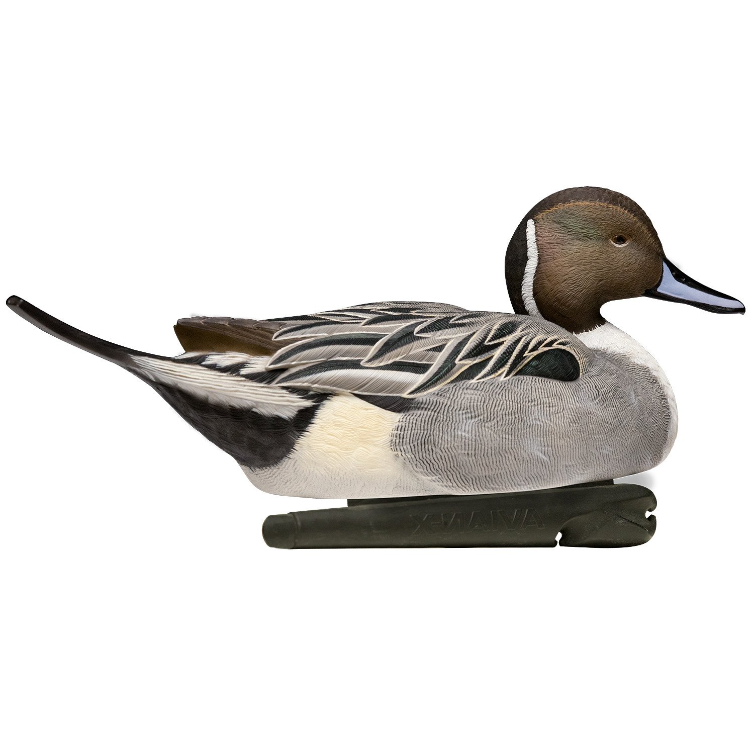 Avian-X Topflight Pintail Duck Decoys 6-Pack                                                                                     - view number 2