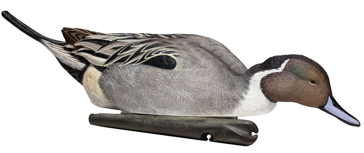 Avian-X Topflight Pintail Duck Decoys 6-Pack                                                                                     - view number 4