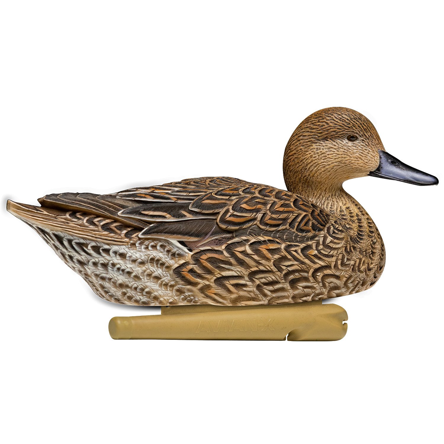 Avian-X Topflight Pintail Duck Decoys 6-Pack                                                                                     - view number 5