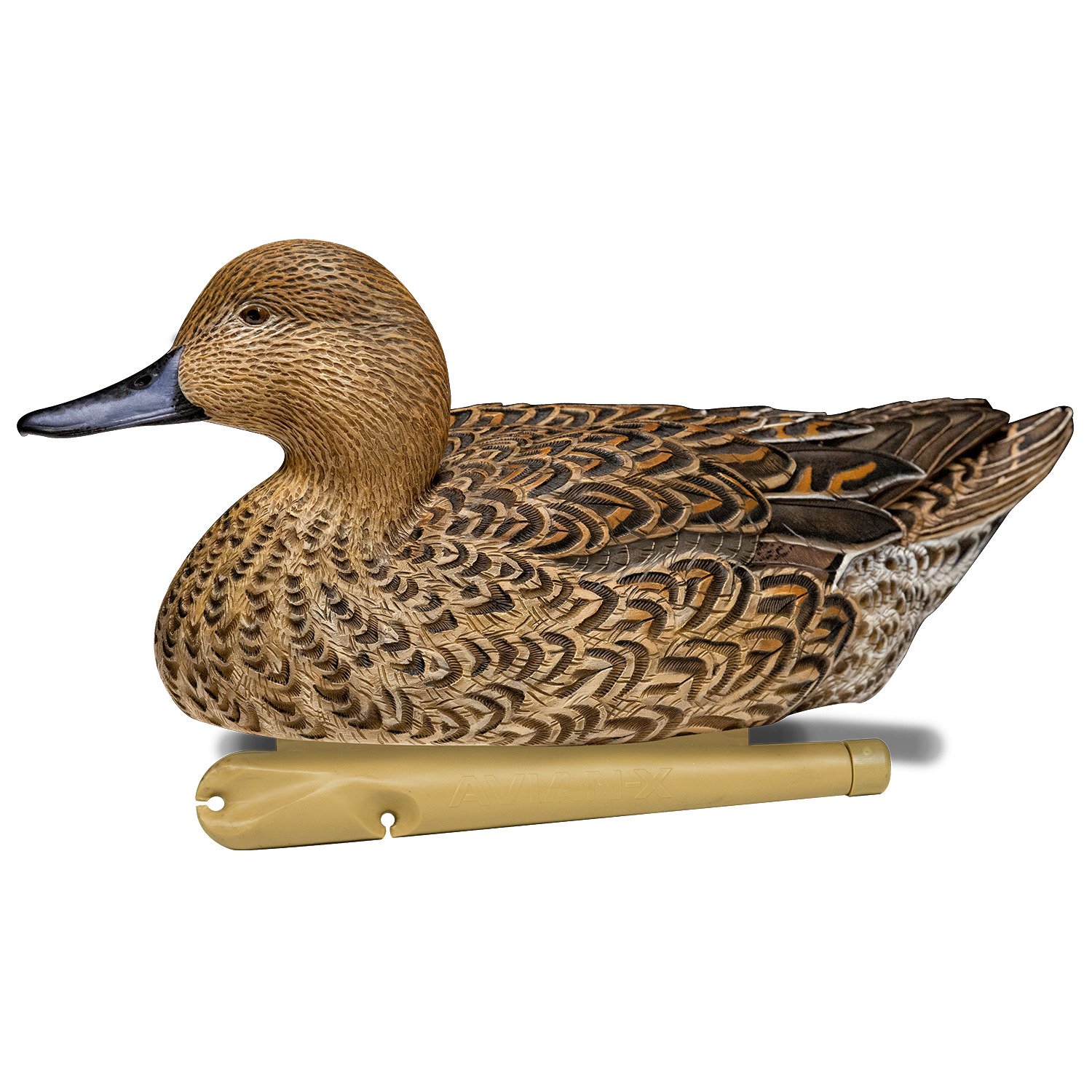 Avian-X Topflight Pintail Duck Decoys 6-Pack                                                                                     - view number 6