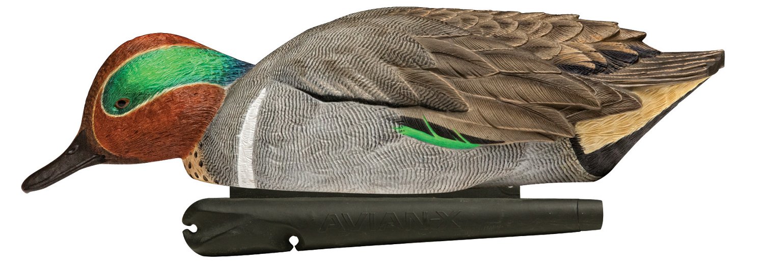 Avian-X Topflight Green-Winged Teal Decoys Set                                                                                   - view number 3