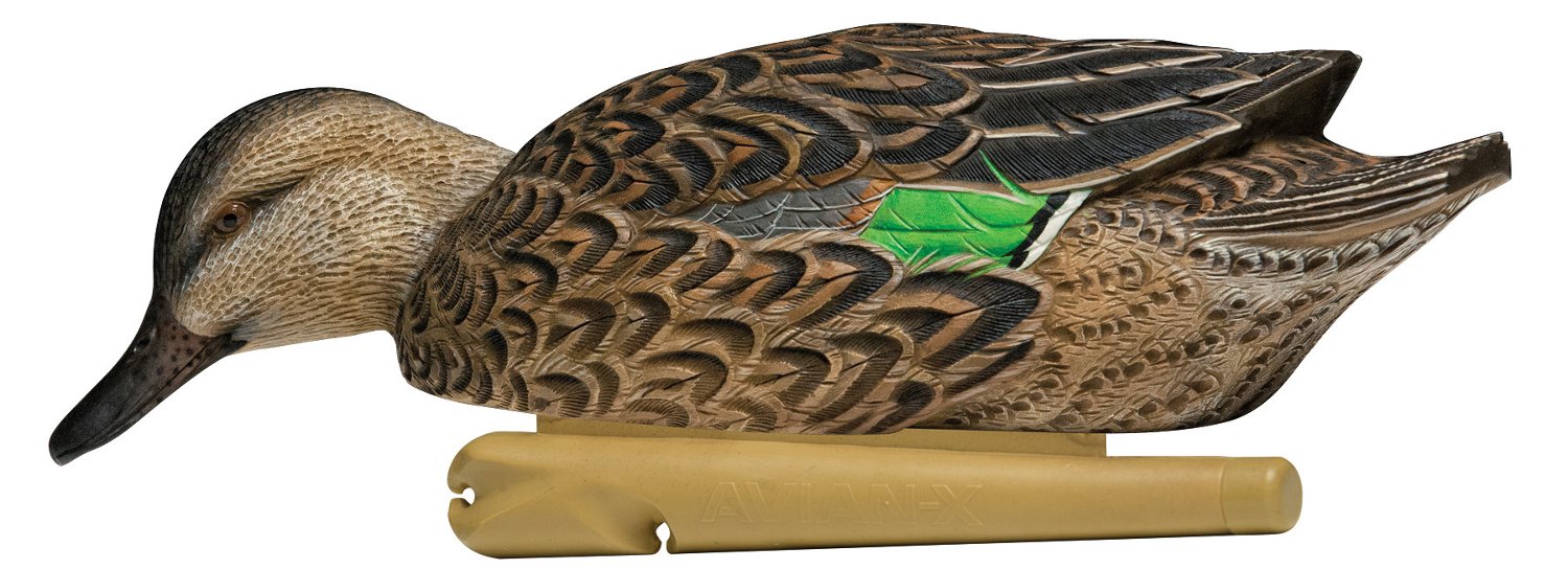 Avian-X Topflight Green-Winged Teal Decoys Set                                                                                   - view number 5